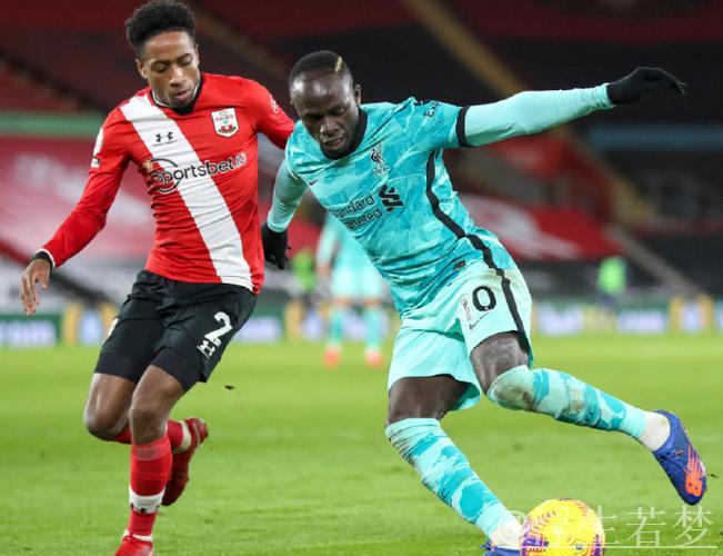 南安普敦与水晶宫握手言和 南安普敦与水晶宫握手言和